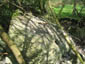 Bunker 1, ehemaliges Munitionsdepot S&uuml;d, Bordumer Busch West, Flakg&uuml;rtel Banter Seedeich